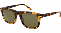 Brown Acetate Sunglasses 1