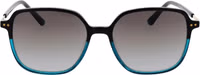 Black Plastic Sunglasses 2