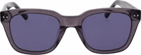 Gray Plastic Sunglasses 2