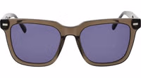 Brown Plastic Sunglasses 2