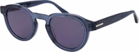 Gray Plastic Sunglasses 1
