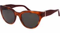 Brown Plastic Sunglasses 1