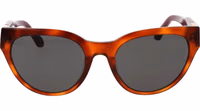 Brown Plastic Sunglasses 2