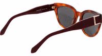 Brown Plastic Sunglasses 3