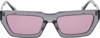 Gray Plastic Sunglasses 2