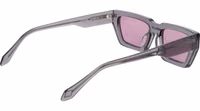 Gray Plastic Sunglasses 3