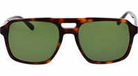 Brown Plastic Sunglasses 2