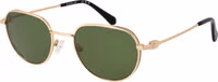 Gold Metal Sunglasses 1