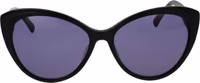 Black Plastic Sunglasses 2