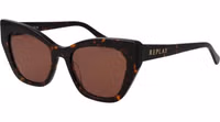 Brown Plastic Sunglasses 1