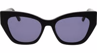 Black Plastic Sunglasses 2