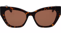 Brown Plastic Sunglasses 2
