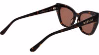 Brown Plastic Sunglasses 3