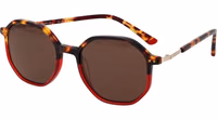 Brown Plastic Sunglasses 1