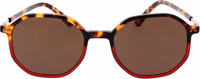 Brown Plastic Sunglasses 2