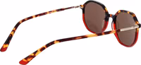 Brown Plastic Sunglasses 3