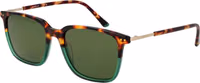 Brown Plastic Sunglasses 1