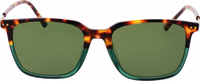 Brown Plastic Sunglasses 2