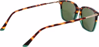 Brown Plastic Sunglasses 3