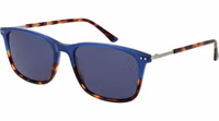 Brown Plastic Sunglasses 1