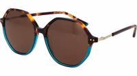 Brown Plastic Sunglasses 1