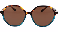 Brown Plastic Sunglasses 2