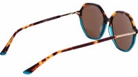 Brown Plastic Sunglasses 3