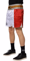 Multicolor Italia Polyester Bermuda Shorts 2