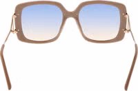 Brown Metal & Plastic Sunglasses 3