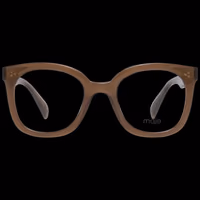 Brown Plastic Glasses (Frames) 2