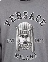 Gray Cotton Sweatshirt 4