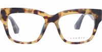 Brown Plastic Glasses (Frames) 2