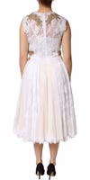 Ivory Lace Silk Embellished Sleeveless  Dress 3