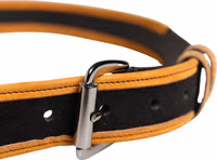 Men Black Orange Polyester Metal Buckle Belt 3