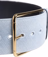 Blue Two Tone Denim Gold Metal Buckle Belt 2