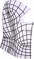 Men White Stripes Nylon Ski Mask Balaclava Hat 1
