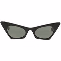 Black Plastic Sunglasses 1
