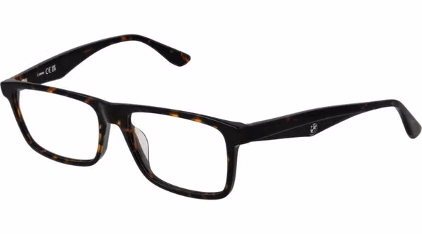 Brown Plastic Glasses (Frames)