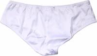White Silk Stretch Mid Waist Brief Panty Underwear 4