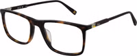 Brown Plastic Glasses (Frames) 1