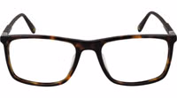 Brown Plastic Glasses (Frames) 2