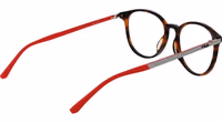 Brown Plastic Glasses (Frames) 3