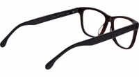 Brown Cellulose Acetate Glasses (Frames) 3