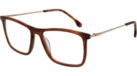 Brown Metal Glasses (Frames) 1