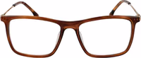 Brown Metal Glasses (Frames) 2