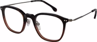Brown Metal Glasses (Frames) 1