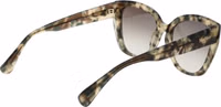 Bicolor Acetate Sunglasses 3