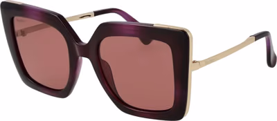 Purple Plastic Sunglasses