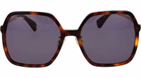 Brown Acetate Sunglasses 2