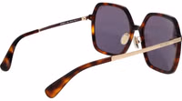 Brown Acetate Sunglasses 3